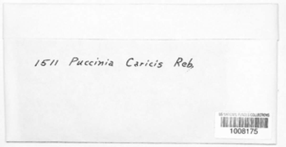 Puccinia caricis image